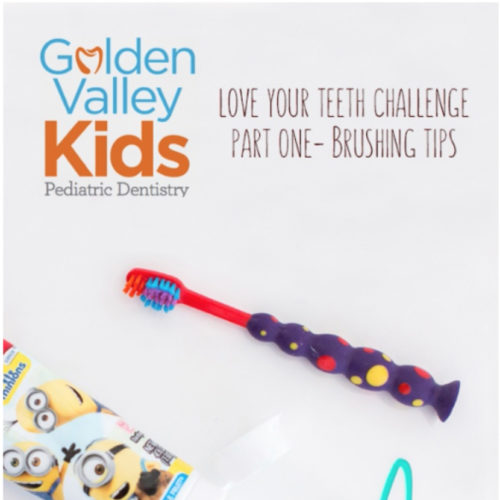 Let’s Talk Tooth Brushing Tips With Dr. Adena Borodkin of Golden Valley Kids Pediatric Dentistry